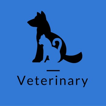 MS - Vet
